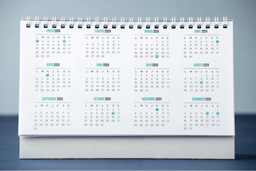 Preparación y Presentación de la Declaración  